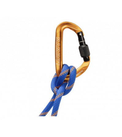 Mammut Sender Screwgate Carabiner