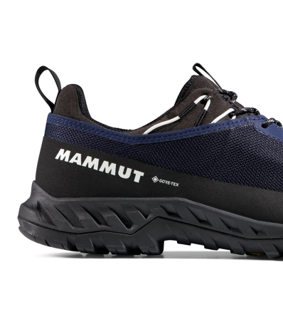 Mammut Alnasca IV Low GTX Men