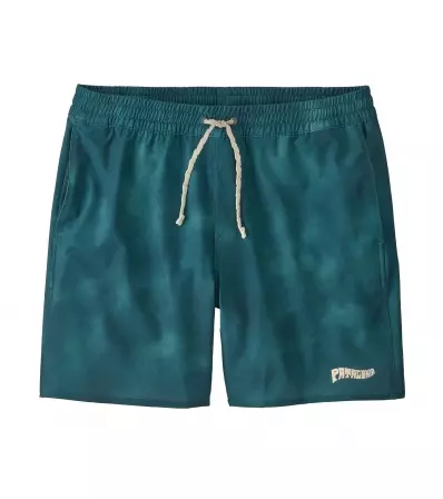 Patagonia Hydropeak Volley Shorts 16