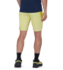 Mammut Ducan Shorts Men