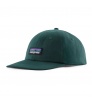 Patagonia P-6 Label Trad Cap